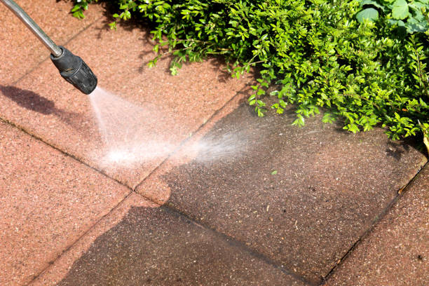 Best Pressure Washing Patio  in South Waverly, PA